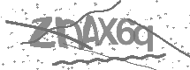 visual captcha